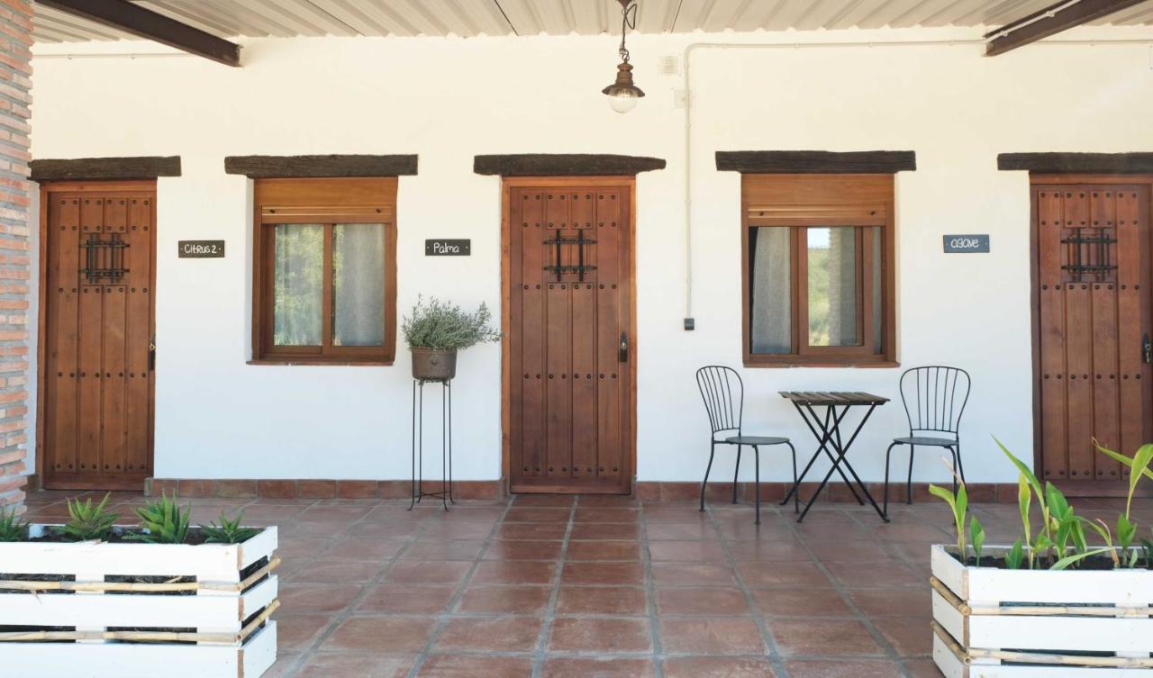 كاساريس The Wild Olive Andalucia Agave Guestroom المظهر الخارجي الصورة